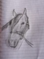 /album/tekeningen/tekening13-jpg1/