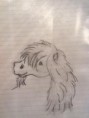 /album/tekeningen/tekening4-jpg1/