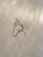 /album/tekeningen/tekening6-jpg1/