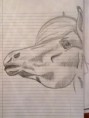 /album/tekeningen/tekening7-jpg1/